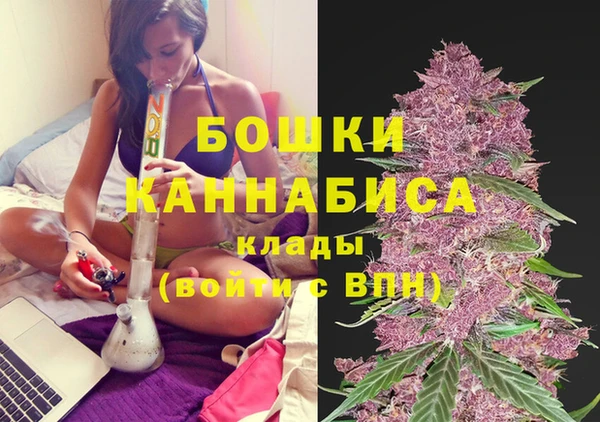 прущая мука Бородино